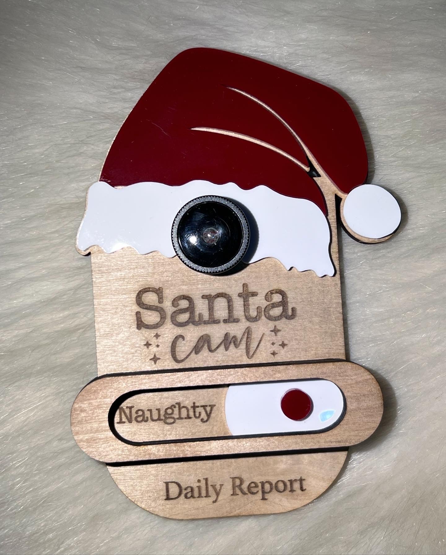 Santa Cam | Daily Report